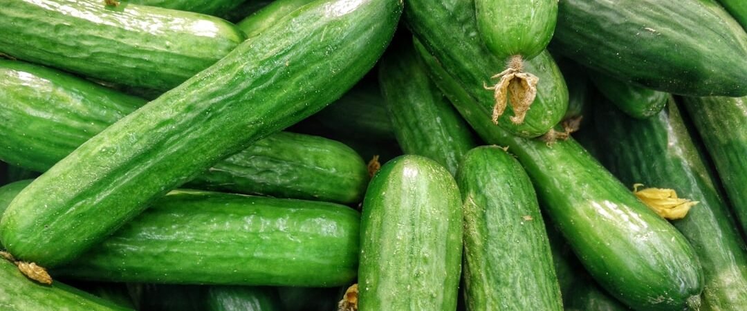 Viral cucumber salad and other fresh salads worth the hype