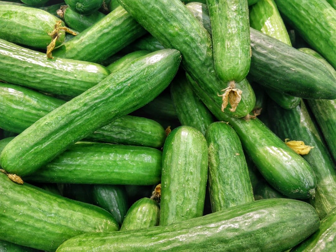 Viral cucumber salad and other fresh salads worth the hype